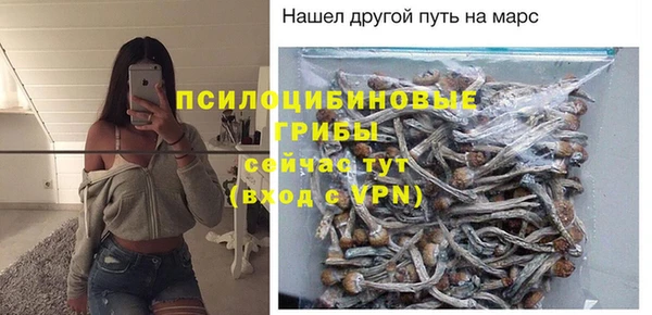 индика Абдулино