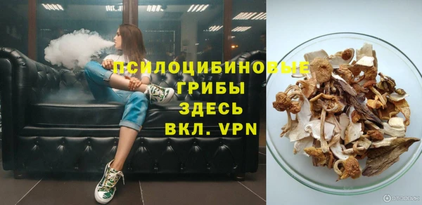 индика Абдулино