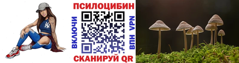 Псилоцибиновые грибы Psilocybe Боровичи